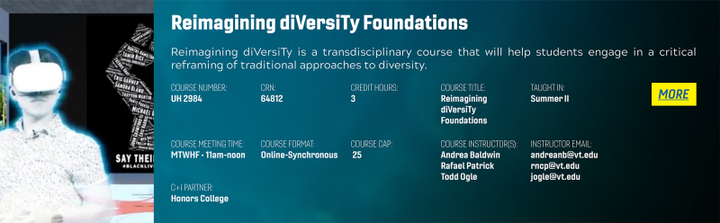 Learn more about the Reimagining diVersiTy Foundations course